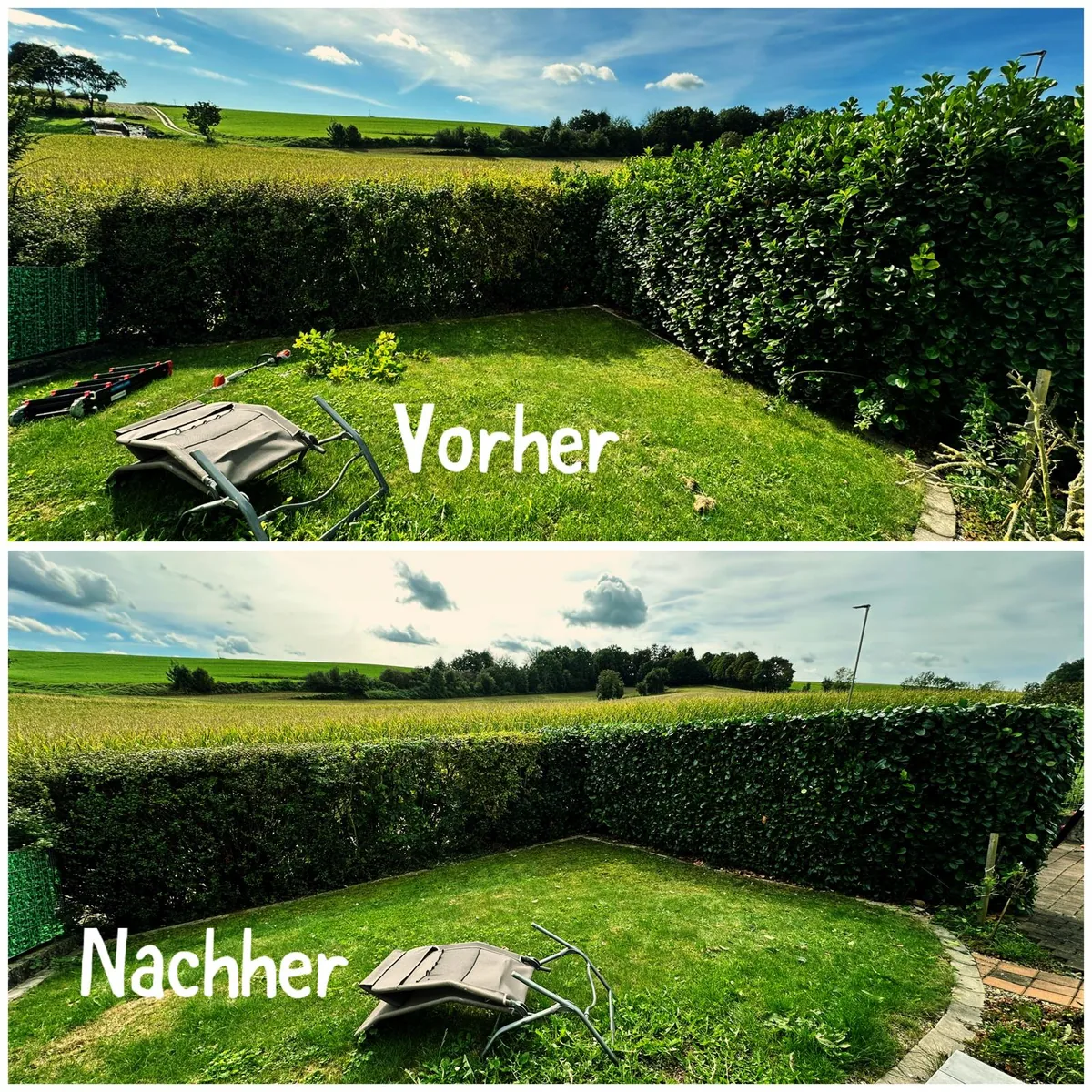 Heckenschnitt im Vorher-Nachher-Vergleich